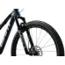 Гірський двопідвіс Giant Anthem Advanced SL 2 29