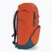 Рюкзак DEUTER Walker 24 паприка-арктичний Рюкзак DEUTER Walker 24 паприка-арктичний