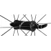 Колесо ZIPP 303 NSW Carbon Tubeless Rim Brake 700c Front
