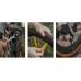 Футляр-фляга Topeak Escape ToolPod 750 мл з інструментом