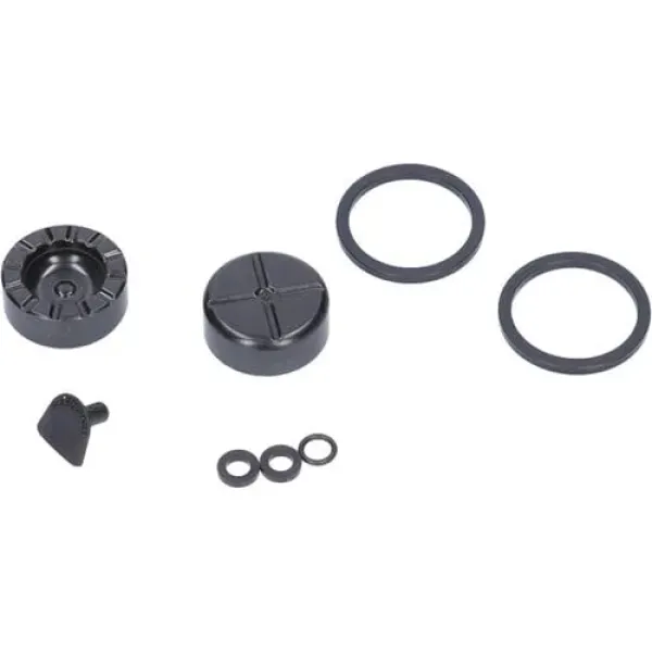 Набір поршнів Sram KIT 2 поршні 21MM PHEN