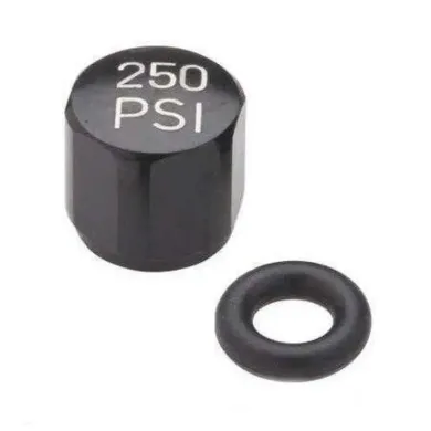 Сервисні запчастини Sram BULK AIR VALVE CAP REVERBSTLTH QTY10