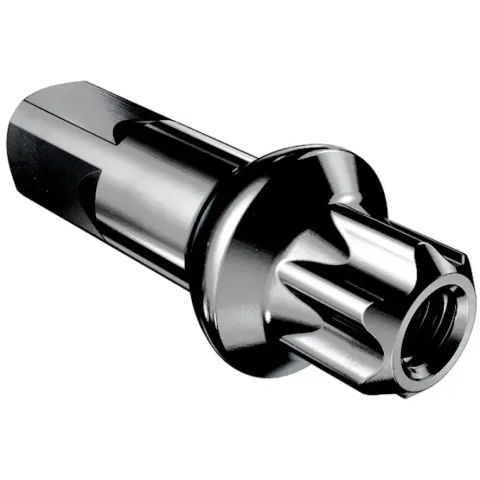 Ніпелі DT SWISS Squorx Pro Head Алюміній 1.8 x 15 мм 100 шт Black
