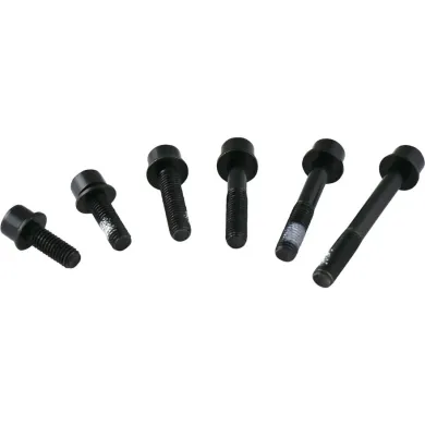 Болти кріплення каліпера TRP Flat Mount 22 мм чорні