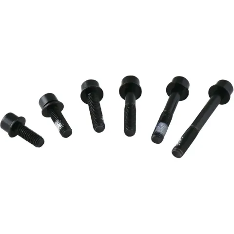 Болти кріплення каліпера TRP Flat Mount 22 мм чорні