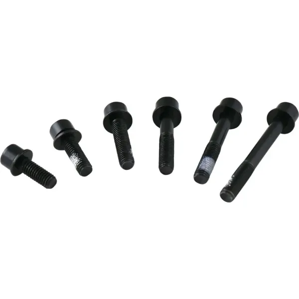 Болти кріплення каліпера TRP Flat Mount 22 мм чорні