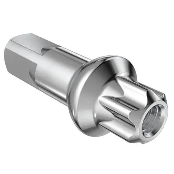 Ніпелі DT SWISS Squorx Pro Head Алюміній 1.8 x 15 мм 100 шт Silver