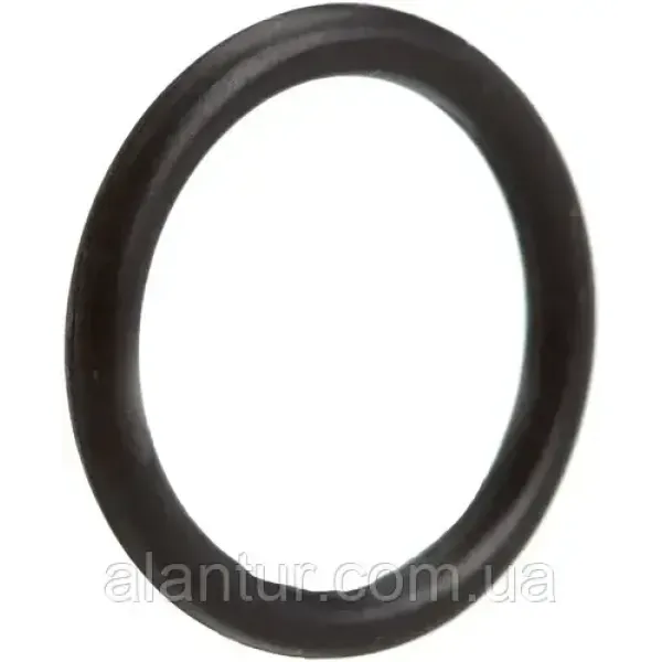 Сервисні запчастини RockShox LYRIK SA AIR PISTON FACESEAL ORING QTY20