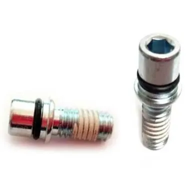 Сервисные запчасти Sram REB SHAFT BOLT/O-RING THREAD PATCH QTY20