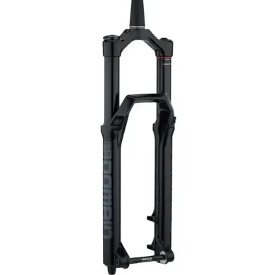 Вилка RockShox Domain RC 29