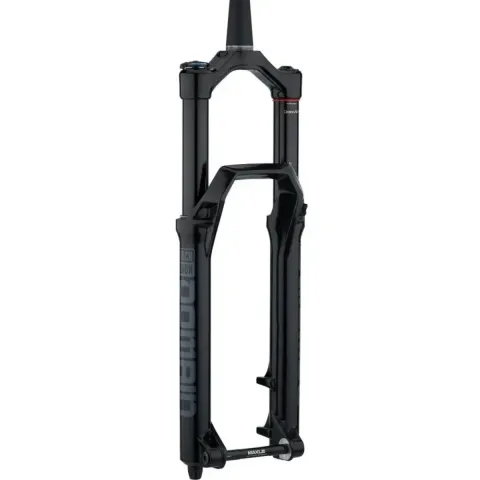 Вилка RockShox Domain RC 29