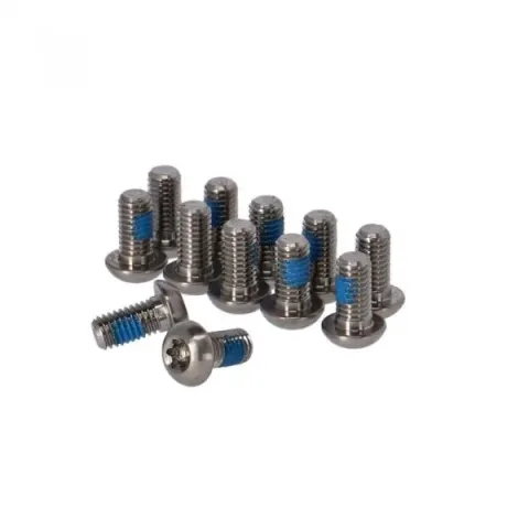 Болти ротора SRAM Titanium T25, Silver Bolts (12 шт)