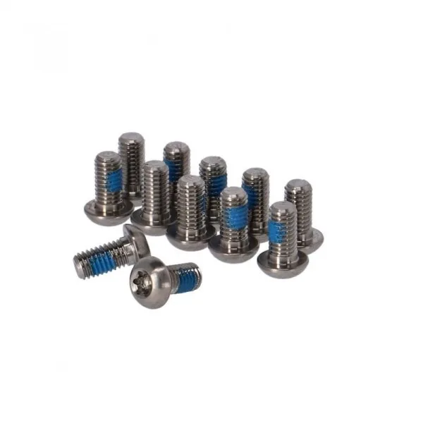 Болти ротора SRAM Titanium T25, Silver Bolts (12 шт)