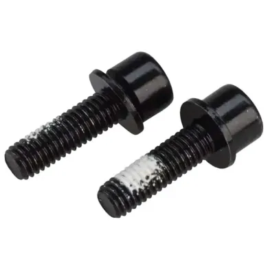 Болти кріплення каліпера TRP Flat Mount Mounting bolt 27