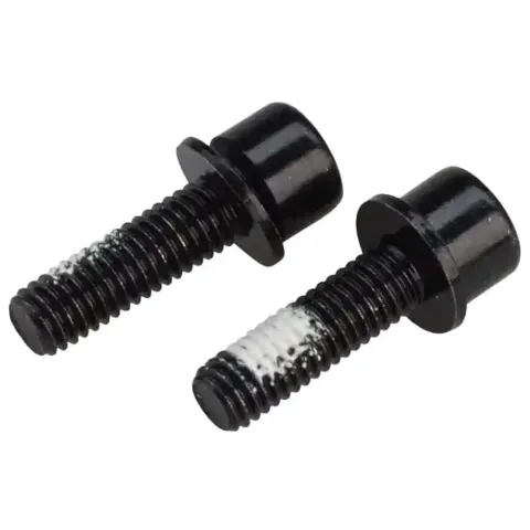 Болти кріплення каліпера TRP Flat Mount Mounting bolt 27