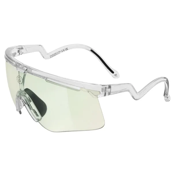 Очки Albaoptics DELTA Crystal Glossy VZUM F-Lens Beetle фотохромные