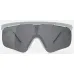 Спортивные очки Albaoptics DELTA Ice VZUM F-Lens Classic фотохромные