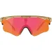 Окуляри Albaoptics DELTA LEI Smoke Glossy VZUM F-Lens Fire