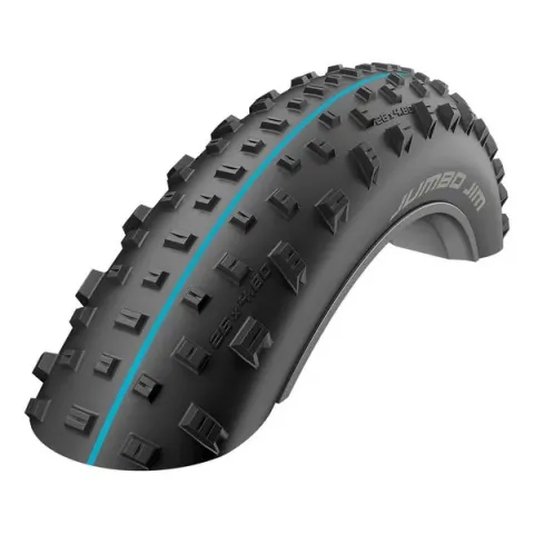 Покрышка Schwalbe JUMBO JIM Evolution 26x4.80 (120-559) HS466 Addix SpeedGrip Super Ground TLE