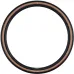 Покришка Schwalbe G-ONE RS PRO Evo 28x2.00 (50-622) HS621 ADDIX Race TLR V-Guard Покришка Schwalbe G-ONE RS PRO Evo 28x2.00 (50-622) HS621 ADDIX Race TLR V-Guard