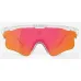 Окуляри Albaoptics DELTA LEI Crystal Glossy VZUM F-Lens Fire фотохромні